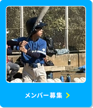 メンバー募集
